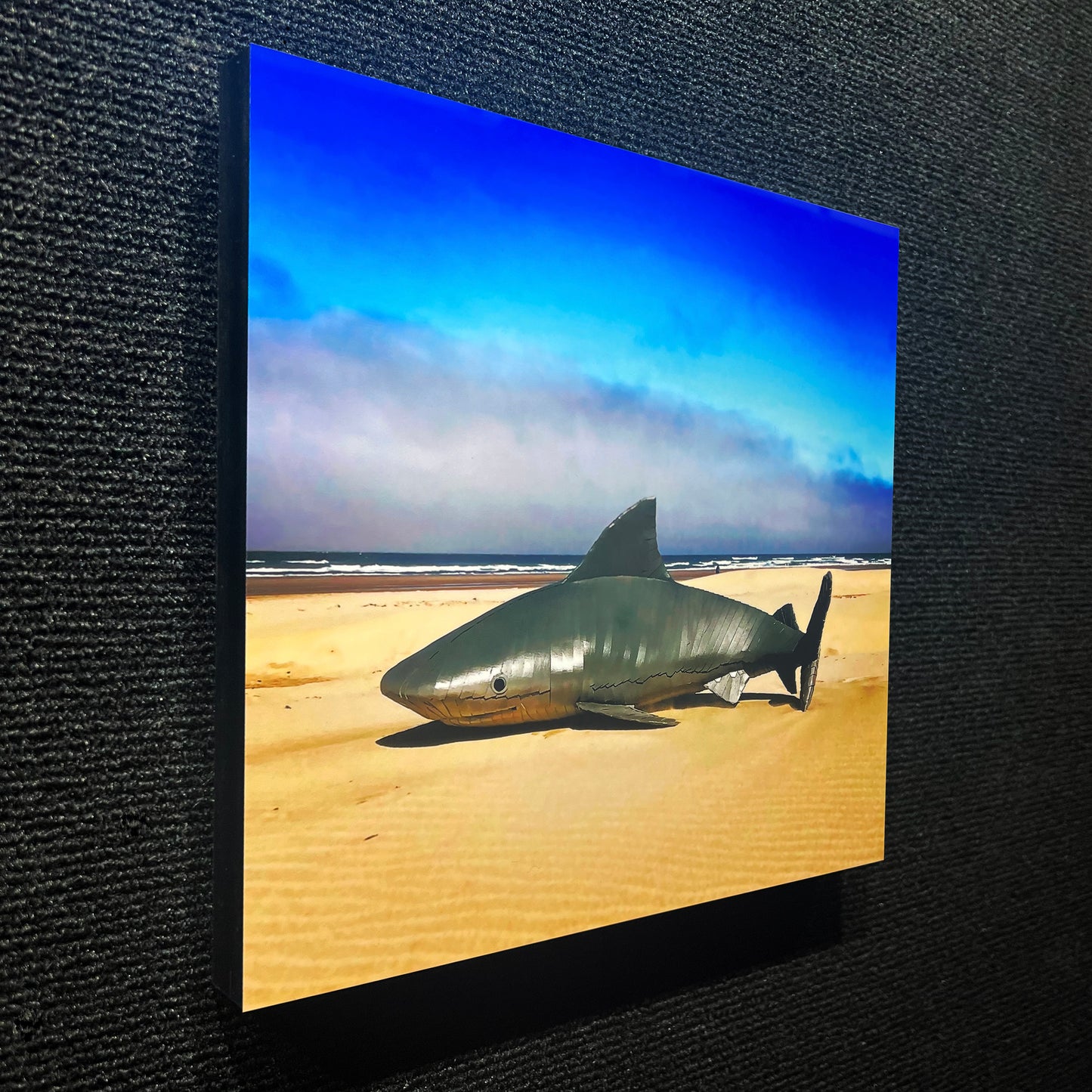 BULL SHARK ALUMINUM PRINT