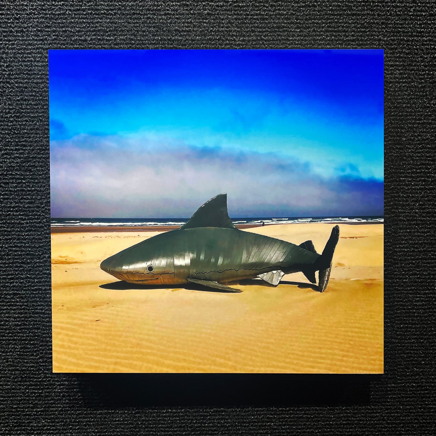 BULL SHARK ALUMINUM PRINT