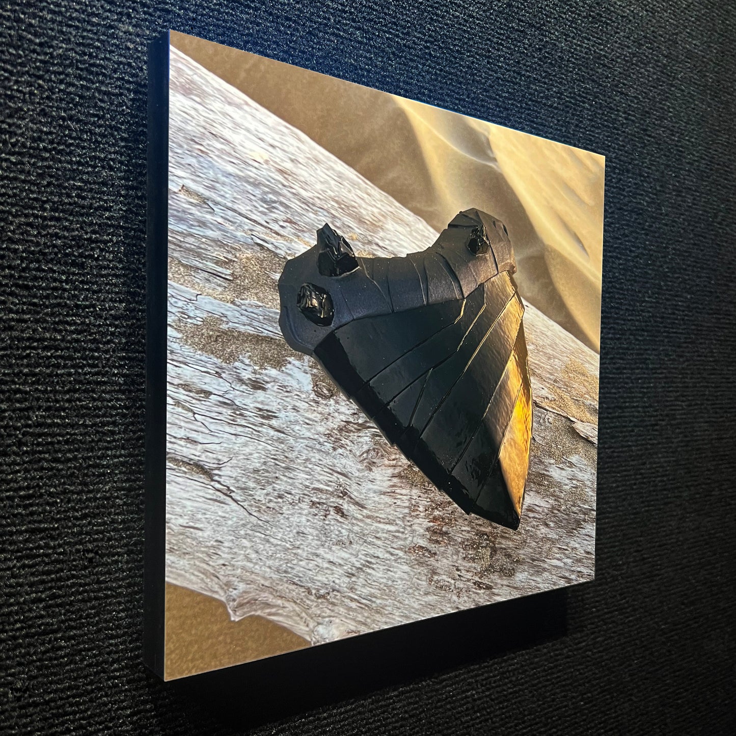 MEGALODON TOOTH ALUMINUM PRINT