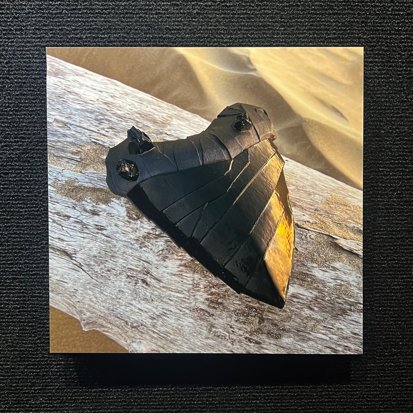 MEGALODON TOOTH ALUMINUM PRINT