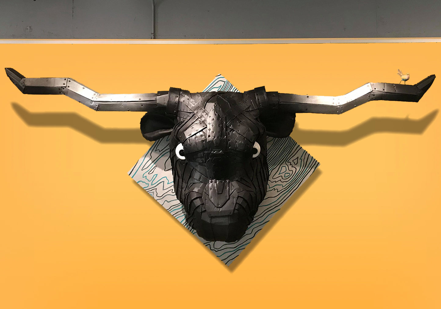 Logan The Long Horn