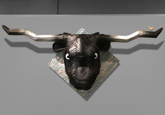 Logan The Long Horn
